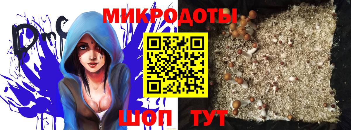 Псилоцибиновые грибы GOLDEN TEACHER Рославль