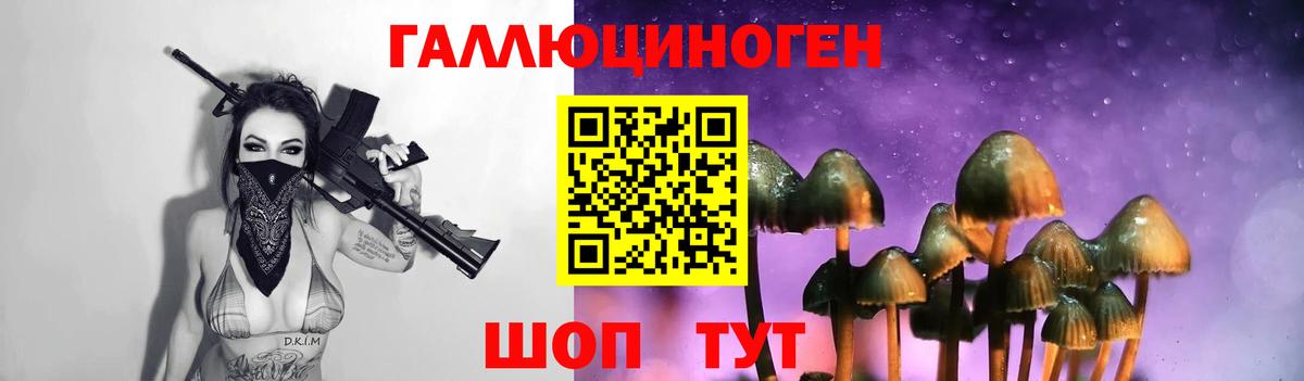 Рославль  Псилоцибиновые грибы прущие грибы  где найти наркотики  Вход с VPN 