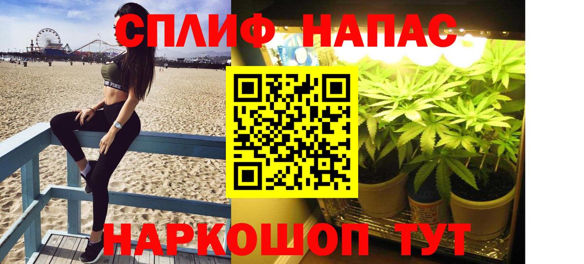 Каннабис семена Рославль